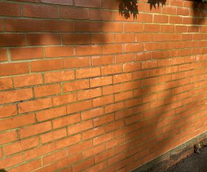 image00004